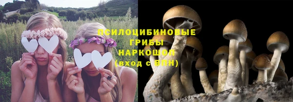 амфетамин Зерноград